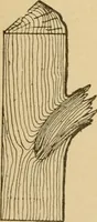 An illustration from Cyclopedia of architecture, carpentry, and building : a general reference work ... (1907)