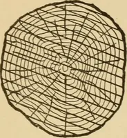 An illustration from Cyclopedia of architecture, carpentry, and building : a general reference work ... (1907)