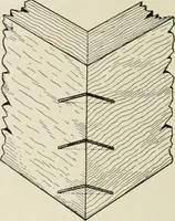 An illustration from Cyclopedia of architecture, carpentry, and building : a general reference work (1912)