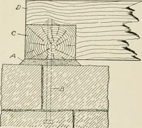 An illustration from Cyclopedia of architecture, carpentry, and building : a general reference work (1912)