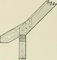 An illustration from Cyclopedia of architecture, carpentry, and building : a general reference work (1912)