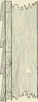 An illustration from Cyclopedia of architecture, carpentry, and building : a general reference work (1912)
