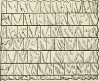 An illustration from Cyclopedia of architecture, carpentry, and building : a general reference work (1912)