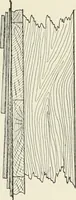 An illustration from Cyclopedia of architecture, carpentry, and building : a general reference work (1912)
