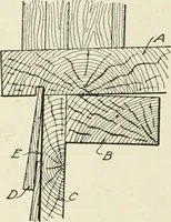 An illustration from Cyclopedia of architecture, carpentry, and building : a general reference work (1912)