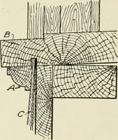 An illustration from Cyclopedia of architecture, carpentry, and building : a general reference work (1912)