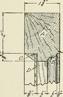 An illustration from Cyclopedia of architecture, carpentry, and building : a general reference work (1912)