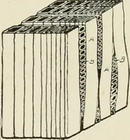 An illustration from Cyclopedia of architecture, carpentry, and building : a general reference work (1912)