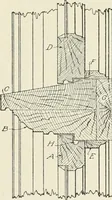 An illustration from Cyclopedia of architecture, carpentry, and building : a general reference work (1912)