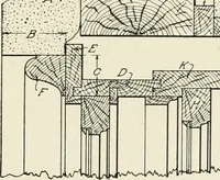 An illustration from Cyclopedia of architecture, carpentry, and building : a general reference work (1912)
