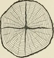 An illustration from Cyclopedia of architecture, carpentry, and building : a general reference work (1912)