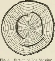 An illustration from Cyclopedia of architecture, carpentry, and building : a general reference work (1912)
