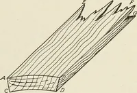 An illustration from Cyclopedia of architecture, carpentry, and building : a general reference work (1912)