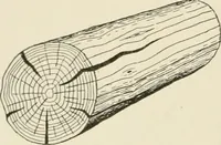 An illustration from Cyclopedia of architecture, carpentry, and building : a general reference work (1912)