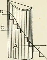 An illustration from Cyclopedia of architecture, carpentry, and building : a general reference work (1912)