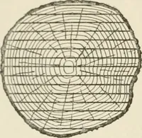 An illustration from Cyclopedia of architecture, carpentry, and building : a general reference work (1912)