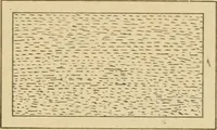 An illustration from Cyclopedia of architecture, carpentry, and building : a general reference work ... (1907)