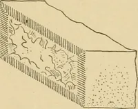 An illustration from Cyclopedia of architecture, carpentry, and building : a general reference work ... (1907)