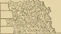 An illustration from Cyclopedia of architecture, carpentry, and building : a general reference work ... (1907)