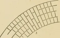 An illustration from Cyclopedia of architecture, carpentry, and building : a general reference work ... (1907)