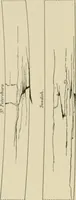 An illustration from Cyclopedia of architecture, carpentry, and building : a general reference work ... (1907)