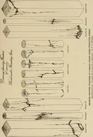 Picture 25 of 174 from Cyclopedia of architecture, carpentry, and building : a general reference work ... (1907), leaf 94