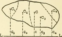 An illustration from Cyclopedia of architecture, carpentry, and building : a general reference work (1912)