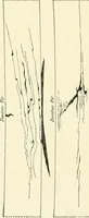 An illustration from Cyclopedia of architecture, carpentry, and building : a general reference work (1912)
