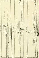 An illustration from Cyclopedia of architecture, carpentry, and building : a general reference work (1912)