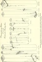 An illustration from Cyclopedia of architecture, carpentry, and building : a general reference work (1912)
