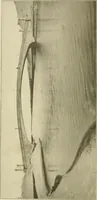 An illustration from Cyclopedia of architecture, carpentry, and building : a general reference work ... (1907)