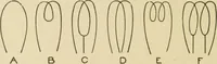 An illustration from Cyclopedia of architecture, carpentry, and building : a general reference work ... (1907)