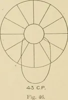 An illustration from Cyclopedia of architecture, carpentry, and building : a general reference work ... (1907)