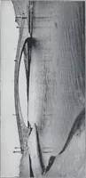 Picture 96 of 200 from Cyclopedia of architecture, carpentry, and building : a general reference work (1912), leaf 328