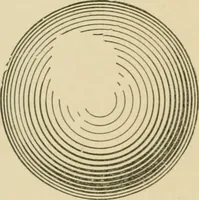 An illustration from Cyclopedia of architecture, carpentry, and building : a general reference work ... (1907)