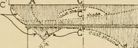 An illustration from Cyclopedia of architecture, carpentry, and building : a general reference work ... (1907)