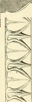 An illustration from Cyclopedia of architecture, carpentry, and building : a general reference work ... (1907)