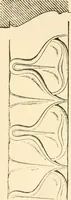 An illustration from Cyclopedia of architecture, carpentry, and building : a general reference work ... (1907)