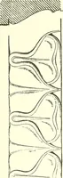 An illustration from Cyclopedia of architecture, carpentry, and building : a general reference work (1912)