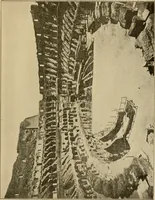 An illustration from Cyclopedia of architecture, carpentry, and building : a general reference work ... (1907)
