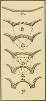 An illustration from Cyclopedia of architecture, carpentry, and building : a general reference work ... (1907)