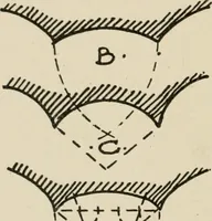 An illustration from Cyclopedia of architecture, carpentry, and building : a general reference work (1912)