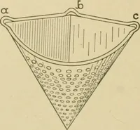 Picture 71 of 371 from Cyclopedia of architecture, carpentry, and building : a general reference work ... (1907), leaf 109