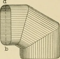 Picture 104 of 371 from Cyclopedia of architecture, carpentry, and building : a general reference work ... (1907), leaf 141