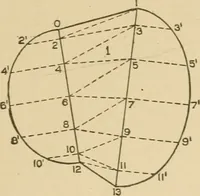 Picture 117 of 371 from Cyclopedia of architecture, carpentry, and building : a general reference work ... (1907), leaf 150