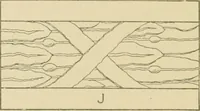 Picture 293 of 371 from Cyclopedia of architecture, carpentry, and building : a general reference work ... (1907), leaf 359