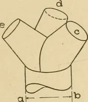 Picture 365 of 371 from Cyclopedia of architecture, carpentry, and building : a general reference work ... (1907), leaf 432
