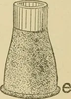 An illustration from Cyclopedia of architecture, carpentry, and building : a general reference work ... (1907)