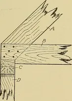 An illustration from Cyclopedia of architecture, carpentry, and building; a general reference work .. (1912)