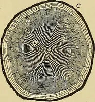 An illustration from Cyclopedia of architecture, carpentry, and building; a general reference work .. (1912)
